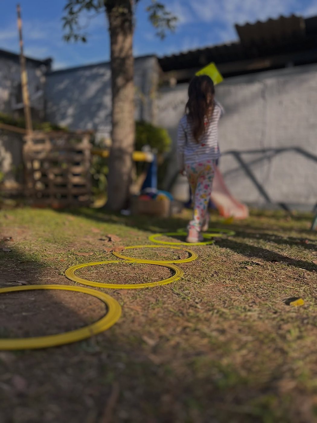 Pátio com grama e árvore da unidade Filial
